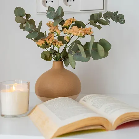 Sagitario Rymar * Cala en Bosc